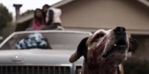 Название сериала, где собака охраняет детей, сидящих на машине.